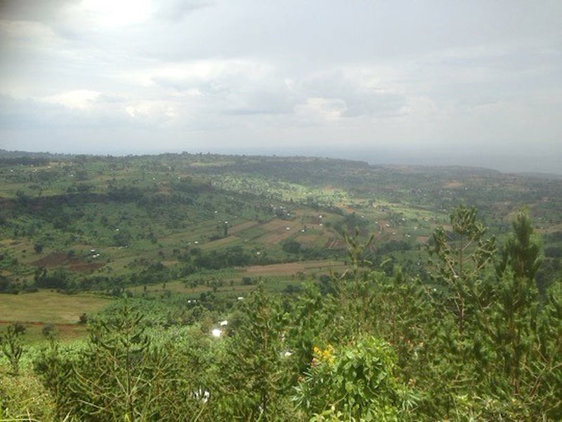 Landcare - adding value and inspiring change in the Mount Elgon region ...