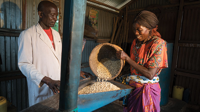 A man and woman pouring grain