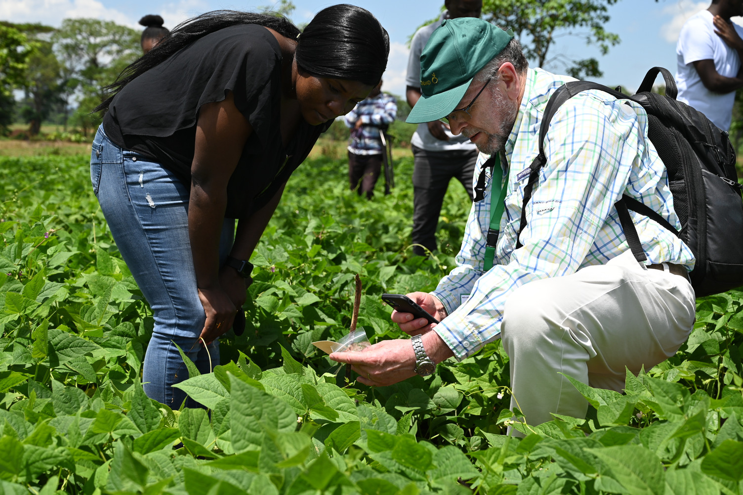 Project leader Prof Wallace Cowling (right) from UWA examining beans with a local journalist during the review in Kenya. 