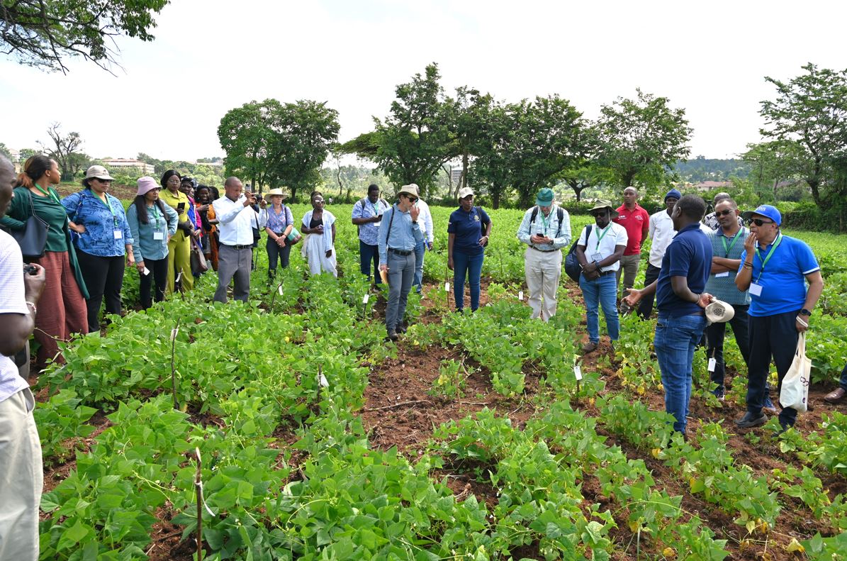 Shamir Misango of the Kenya Agricultural and Livestock Research Organization (KALRO) guides participants through the bean trials process, discussing the findings and expected outcomes.