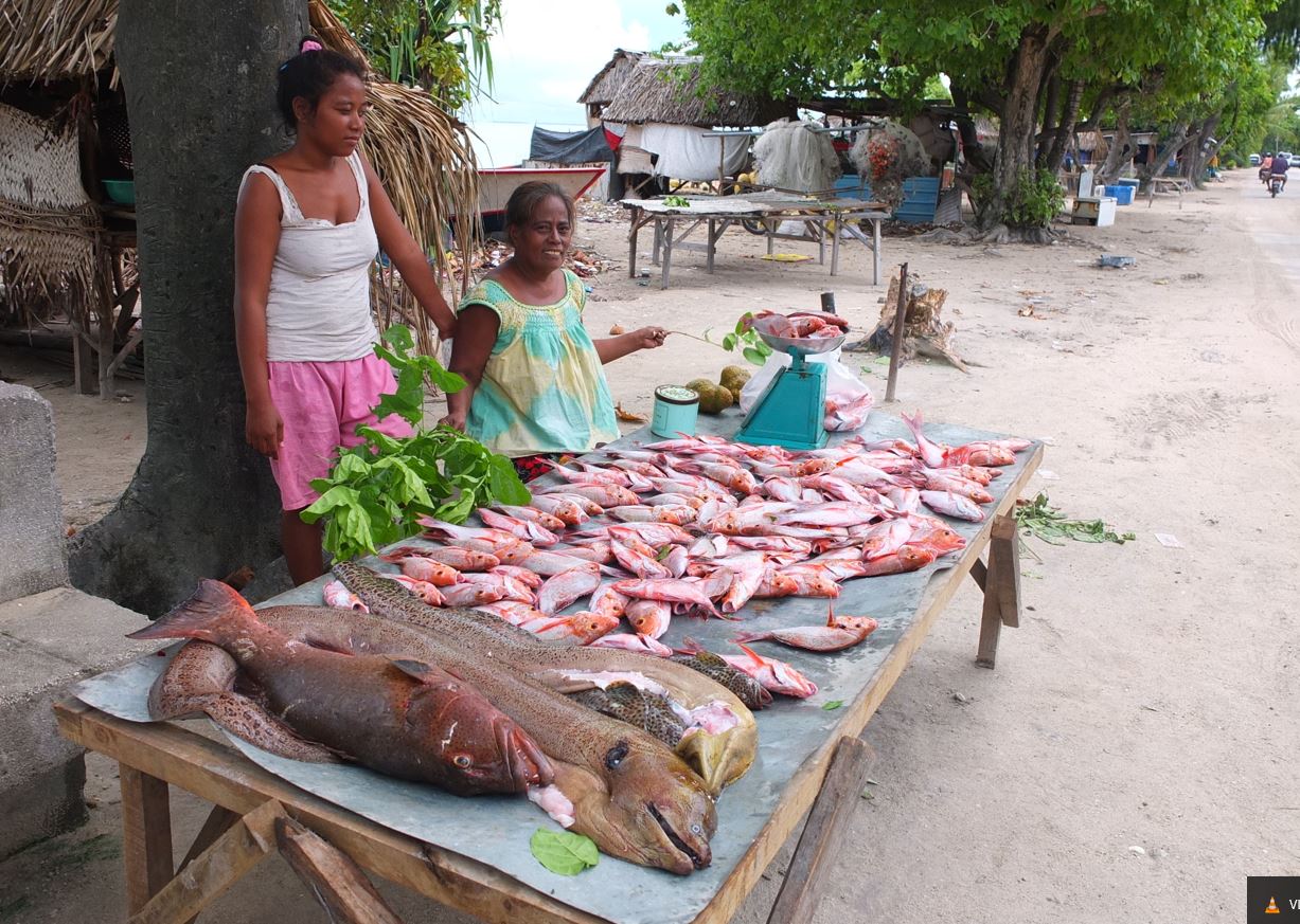 Women selling fish at a market in South Tarawa, Kiribati. 