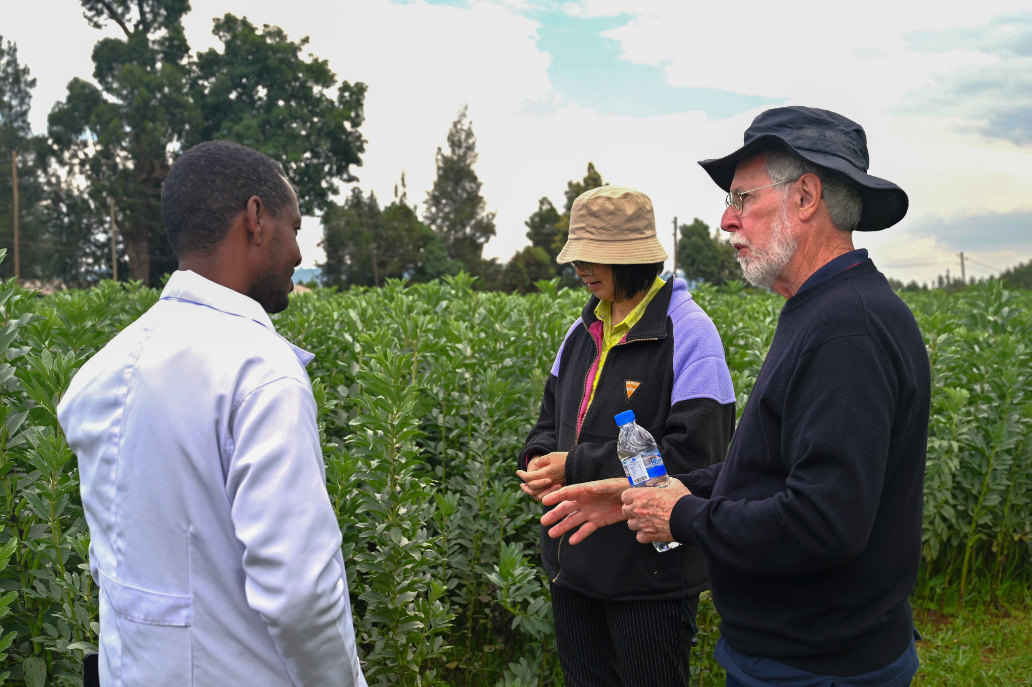 Dr Martin Barbetti discusses the resistance levels of various faba bean varieties and engages in a forward-looking conversation with young breeder  Mr Mesfin Tadele.