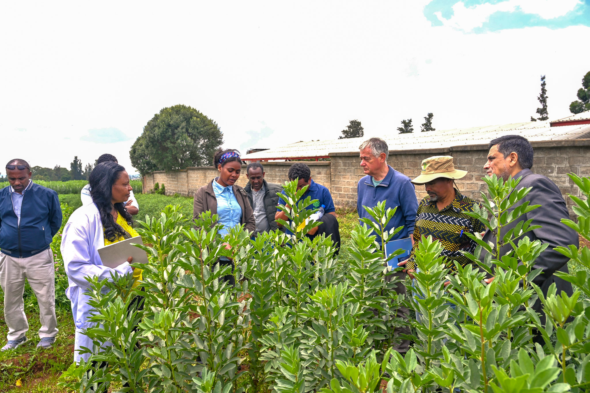 Mrs Nigat Tilahun walks participants through the preliminary variety trial, noting the details of the trial objectives, the number of genotypes, and other factors influencing the research process. 