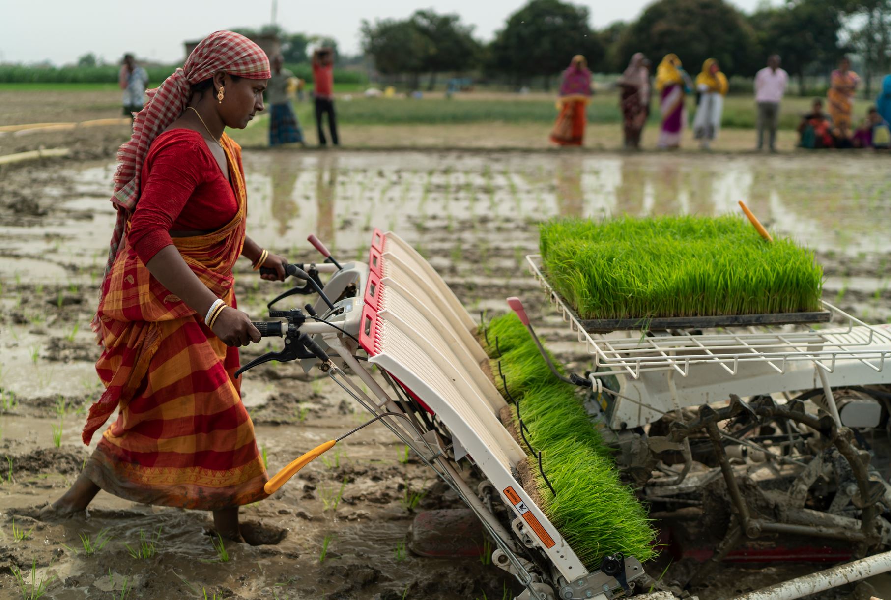 A woman using machinery in a rice field.