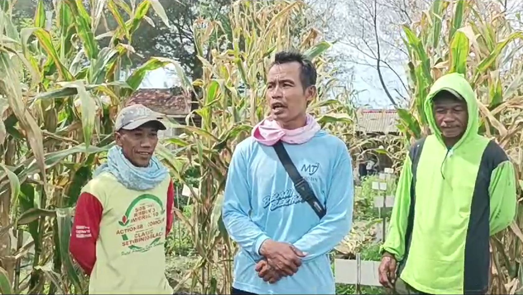 Three men standing outside in a field of crops