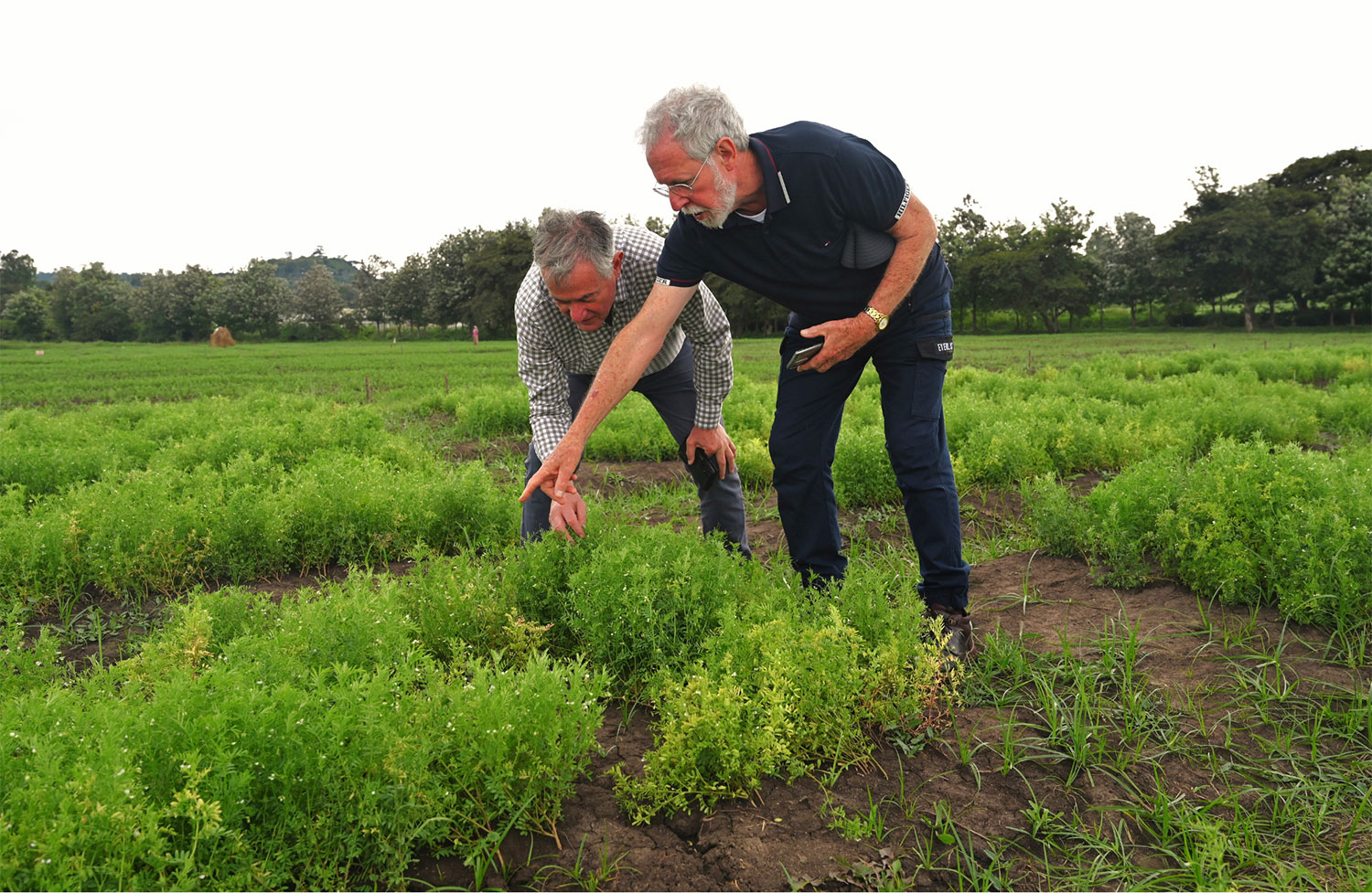 Dr Richard Brettell and Prof Martin Barbetti