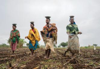 Smallholder farmers in Mozambique participating in the ACIAR-funded SIMLESA program, which helped more than 480,000 farmers across eastern and Southern Africa increase food production and boost farmer livelihoods.  