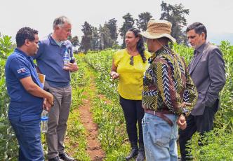 Dr Asnakech Telalign discusses the spread of FBG, the efforts made through the project to curb its spread for better yields, and the ongoing research aimed at developing resistant varieties using molecular tools to support conventional breeding.