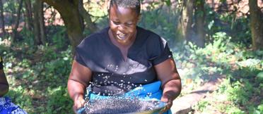 A farmer removes chaff from black beans, preparing them for participants’ sampling during the review.