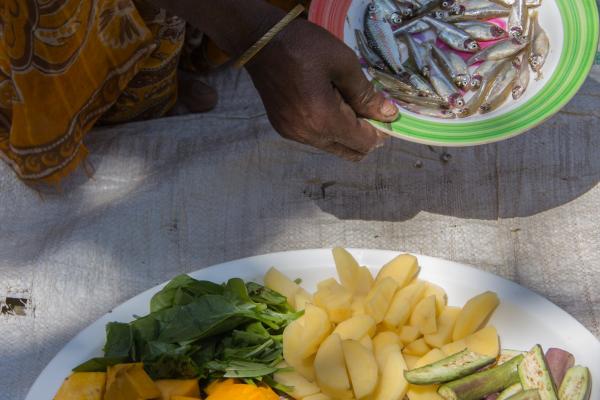 Micronutrient-rich mola and vegetables contribute to a balanced diet: Bangladesh. Credit: Holly Holmes, 2013 WorldFish