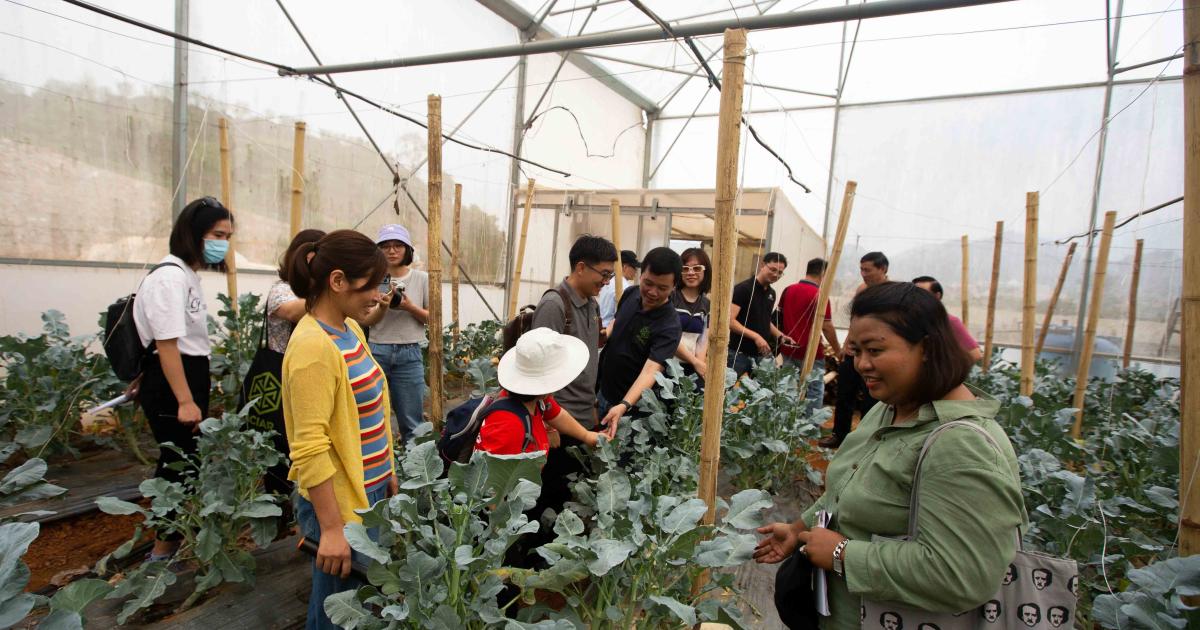 Vietnam alumni collaborate on food system challenges | ACIAR