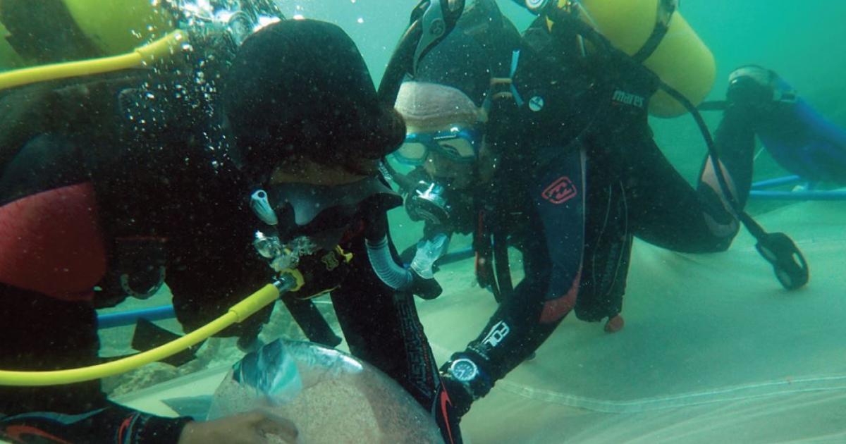 Restoring Damaged Coral Reefs Using Mass Coral Larval Reseeding | ACIAR