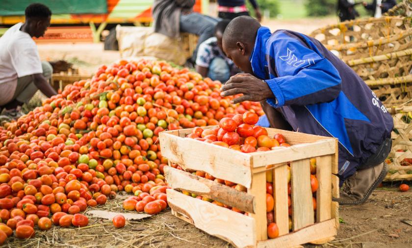 Food loss in Africa 