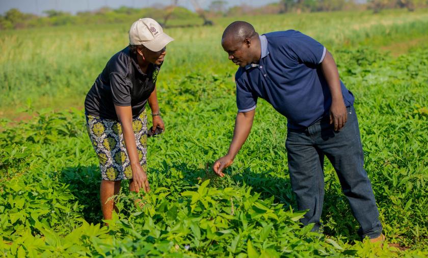 Researchers in the field 